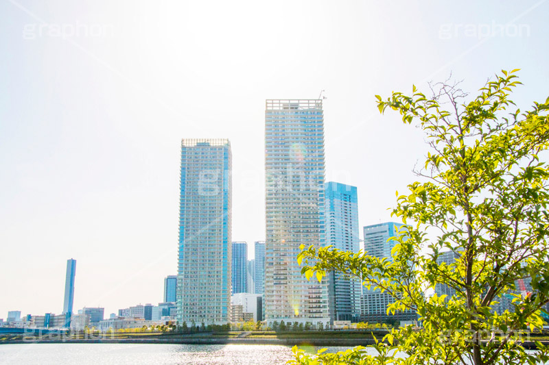 豊洲の高層マンション,ビル軍,豊洲,江東区,豊洲周辺,高層ビル,マンション,タワーマンション,オフィスビル,ビル,building