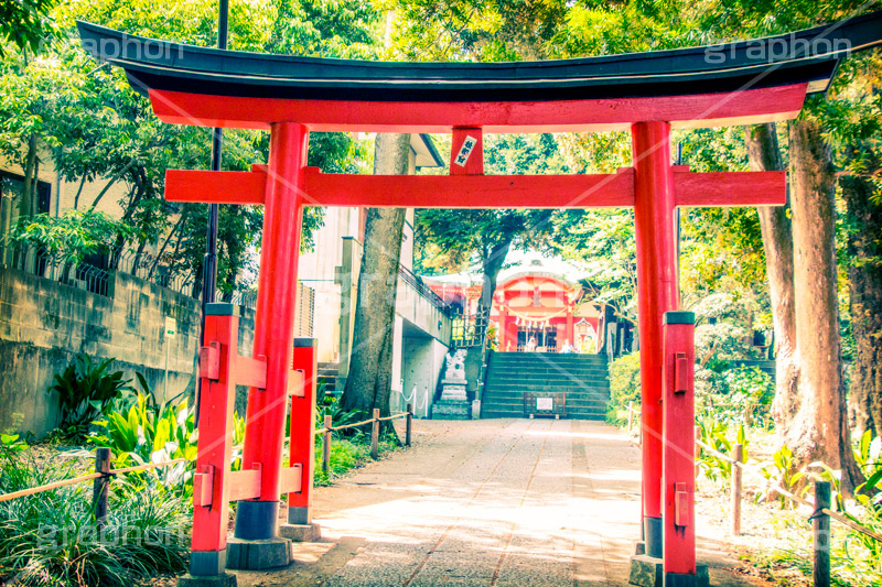 鳥居,トイカメラ撮影,トイカメラ,ヴィンテージ,ビンテージ,レトロ,お洒落,おしゃれ,オシャレ,味わい,トンネル効果,熊野神社,japan