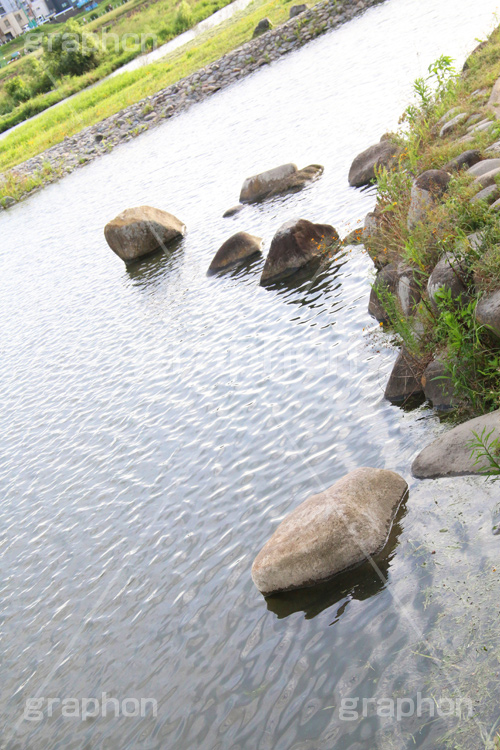 多摩川河川敷,河川敷,二子玉,二子玉川,玉川,にこたま,ニコタマ,世田谷区,川,河原,かわ,河川,多摩川