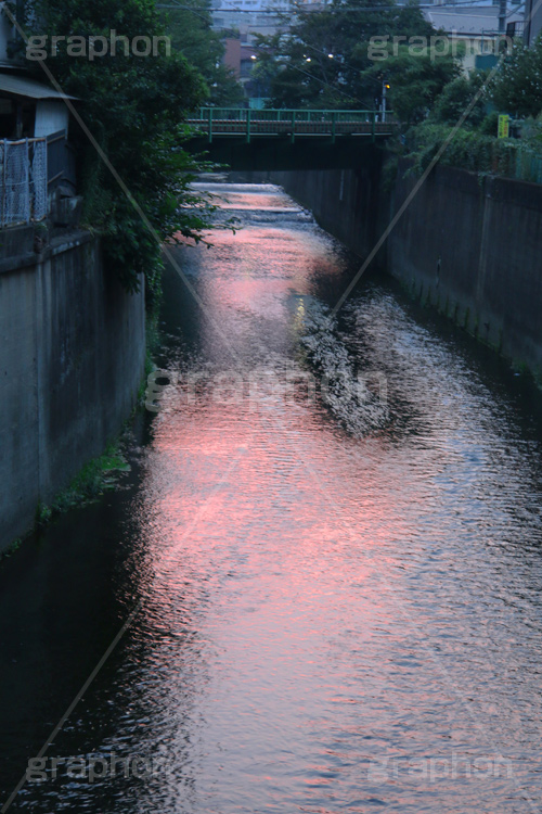 夕焼け,染,神田川,河,川,河川,柵,フェンス,川沿い