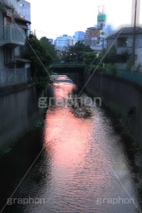 夕焼け,染,神田川,河,川,河川,柵,フェンス,川沿い