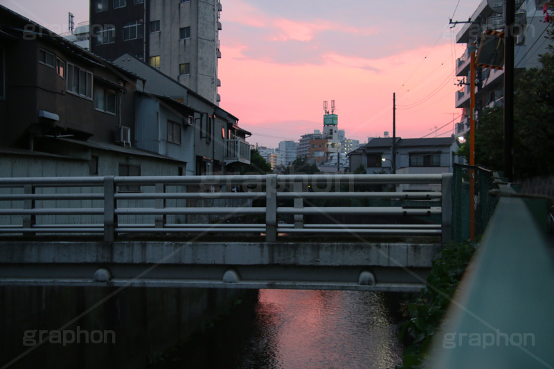 夕焼け,染,神田川,河,川,河川,柵,フェンス,川沿い,橋,情緒