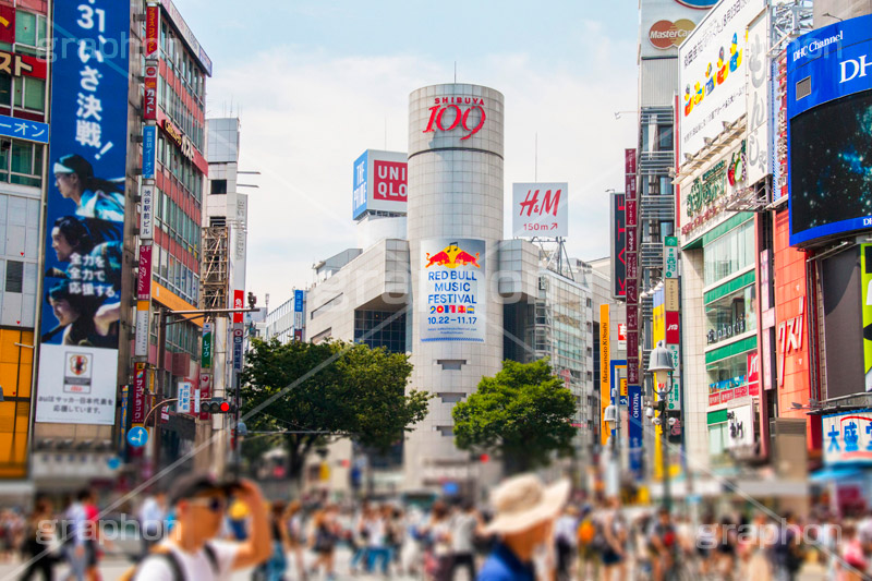 渋谷スクランブル交差点,渋谷,しぶや,ハチ公,観光,交差点,渋谷駅,駅前,スクランブル,外国人,海外,道玄坂,横断歩道,信号,雑踏,都会の雑踏,人混み,人物,混雑,名所,shibuya,japan