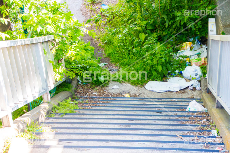 ゴミと雑草で荒れ果てた歩道橋,ごみ,ゴミ,投棄,雑草,荒れ,歩道橋,階段,新木場