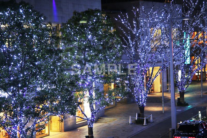 港区,観光名所,六本木,ヒルズ,Roppongi Hills,夜景,ライトアップ,高層,ビル,キラキラ,夜,けやきざか,けやき坂,イルミネーション,イルミ,LED,illumination,冬,ロマンチック