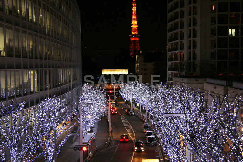 東京タワー,タワー,総合電波塔,電波,日本電波塔,港区,観光名所,六本木,ヒルズ,Roppongi Hills,夜景,ライトアップ,高層,ビル,キラキラ,夜,けやきざか,けやき坂,イルミネーション,イルミ,LED,冬,ロマンチック,japan