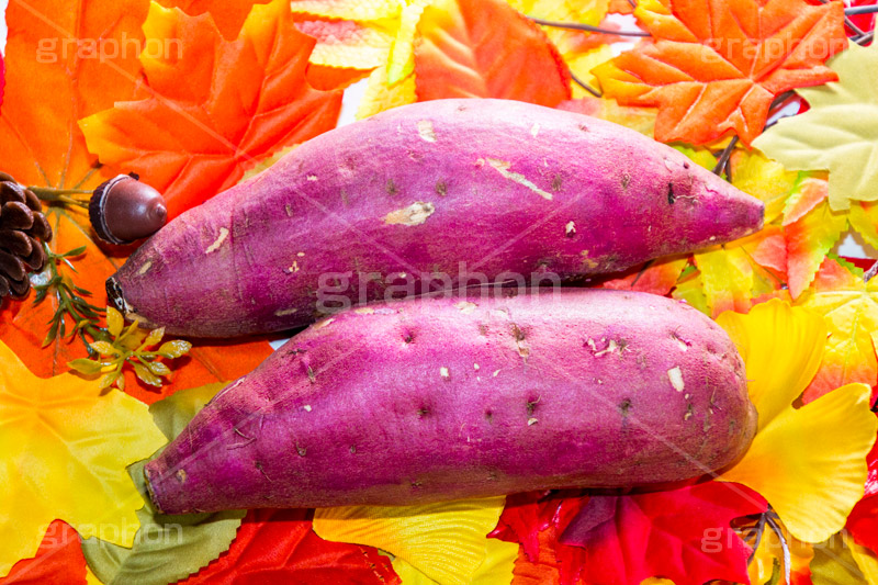 秋の味覚,さつまいも,さつま芋,サツマイモ,芋,いも,イモ,秋,autumn,sweet potato,野菜,食材,焼き芋,焼いも,炭水化物,皮,落ち葉