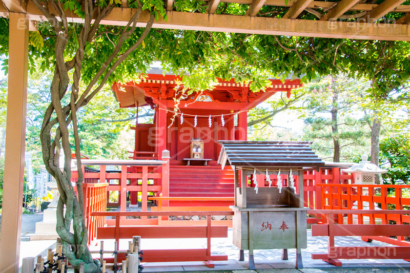 旗上弁財天社,鶴岡八幡宮,境内社,神社,源氏池,源頼朝,白旗,旗,奉納,旗挙げ,守護神,弁財天,源氏