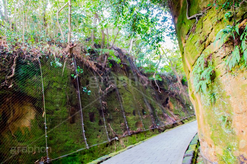 猿島,さるしま,無人島,東京湾,自然島,島,公園,神奈川県,横須賀,自然,史跡,伝説,空虚