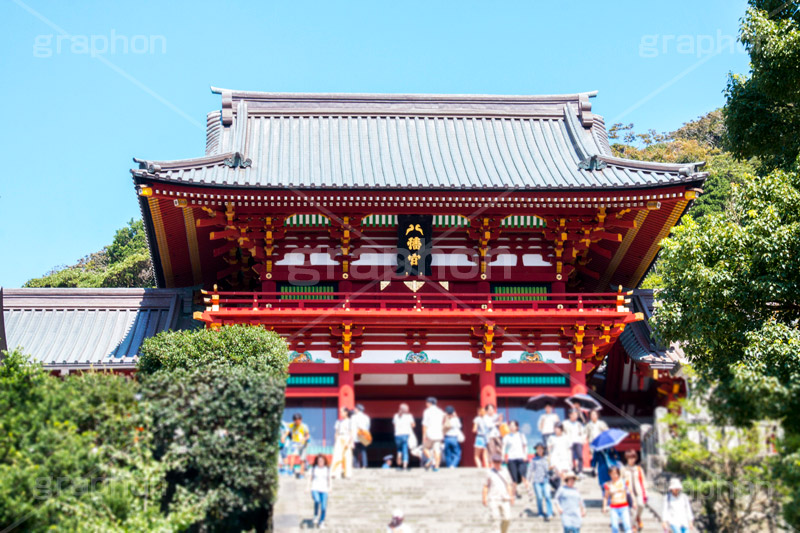 鶴岡八幡宮,神社,神奈川,鎌倉,国幣中社,武家源氏,観光,japan,参拝,お参り,石段,階段,大階段,大石段,本宮,上宮