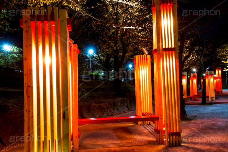 隅田公園-秋のライトアップ,隅田公園,秋,autumn,lightup,ライトアップ,紅葉,さくらもみじ,十三夜,モミジ,もみじ,桜紅葉,お月見