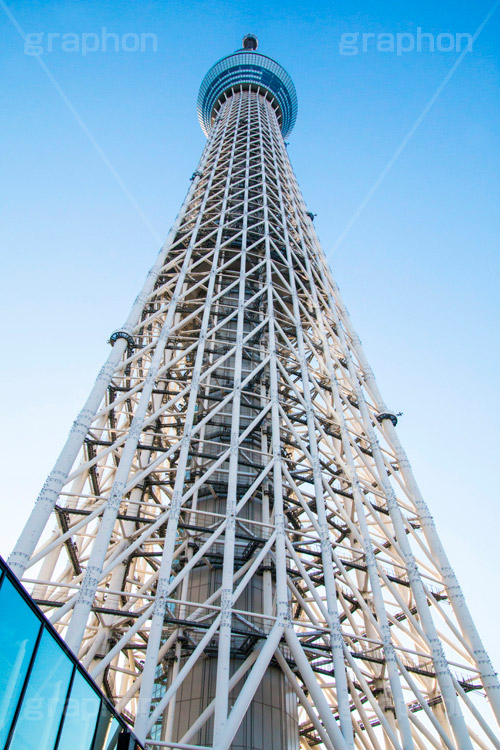 真下からのスカイツリー,スカイツリー,東京スカイツリー,TOKYO SKYTREE,墨田区,押上,電波塔,634,634メートル,634m,塔,電線,真下,見上げ,flare,tower,タワー,青空