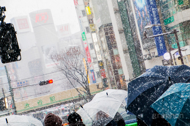 大雪の渋谷,渋谷,駅前,渋谷駅,雪,冬,積もる,降る,寒波,大雪,信号,傘,東口,宮益坂,渋谷区,吹雪,東京,japan,shibuya,snow