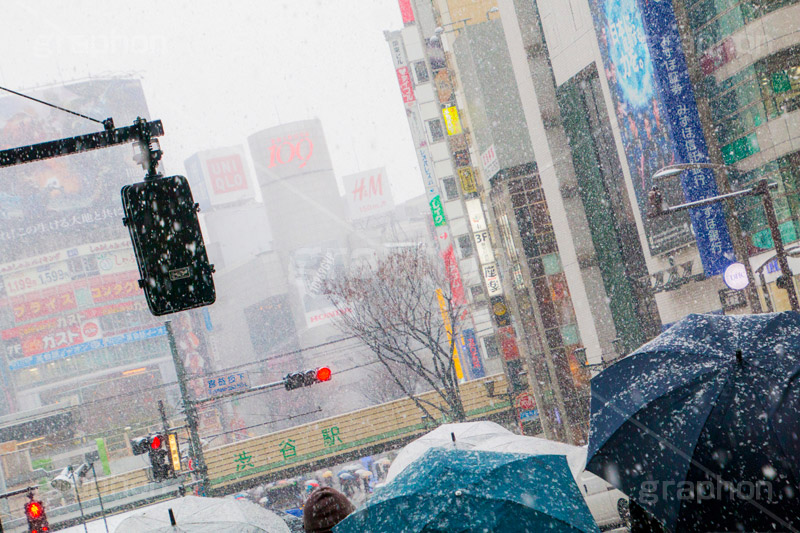 大雪の渋谷,渋谷,駅前,渋谷駅,雪,冬,積もる,降る,寒波,大雪,信号,傘,東口,宮益坂,渋谷区,吹雪,東京,japan,shibuya,snow