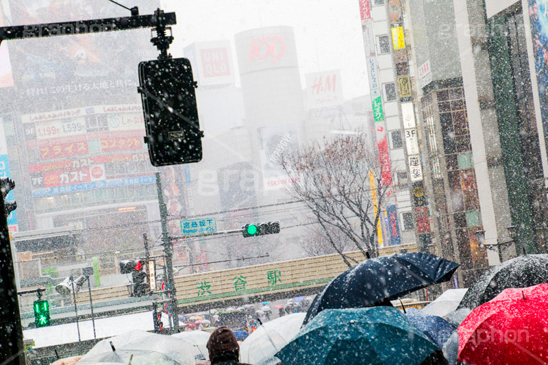 大雪の渋谷,渋谷,駅前,渋谷駅,雪,冬,積もる,降る,寒波,大雪,信号,傘,東口,宮益坂,渋谷区,吹雪,東京,japan,shibuya,snow