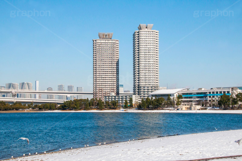 お台場の雪化粧,お台場,台場,東京都港区台場,東京臨海副都心,御台場,東京湾,港区,野鳥,カモメ,ユリカモメ,冬,雪,雪化粧,積もる,青空,東京,tokyo,DAIBA,winter,snow