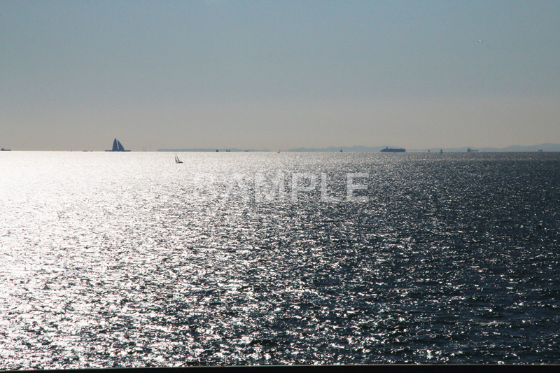 葛西,臨海公園,海,江戸川区,海面,大海原