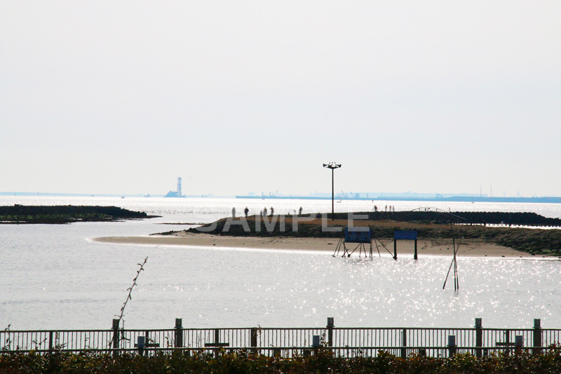 葛西,臨海公園,海,江戸川区