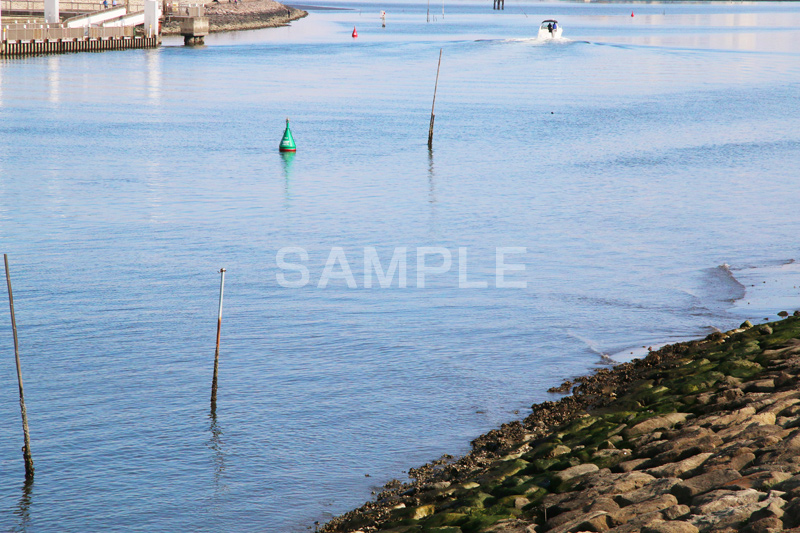 葛西,臨海公園,海,江戸川区,海面