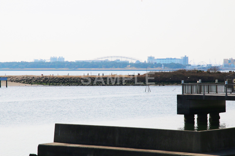 葛西,臨海公園,海,江戸川区