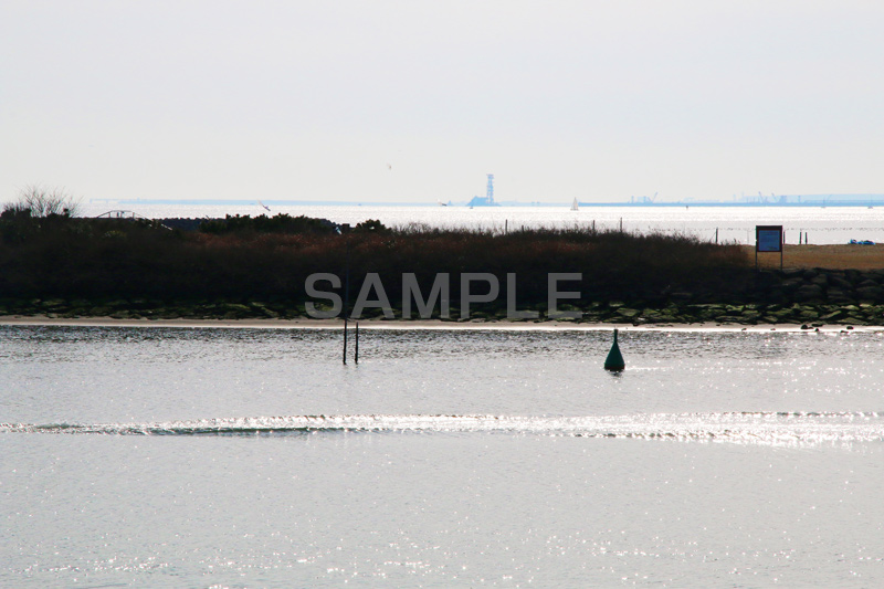 葛西,臨海公園,海,江戸川区