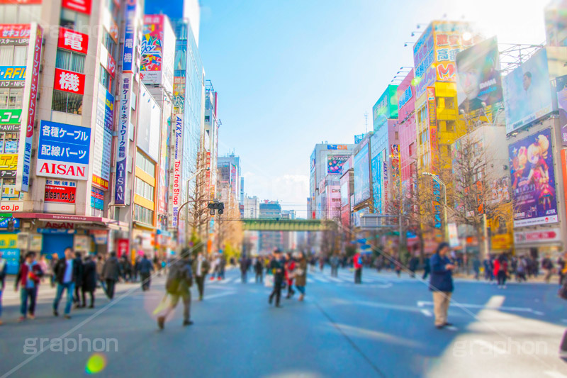 秋葉原の歩行者天国,歩行者天国,秋葉原,あきば,秋葉,アキバ,駅前,電気街,秋葉原駅,ゲーム,アニメ,おたく,オタク,文化,カルチャー,看板,広告,雑踏,都会の雑踏,人物,akiba,japan,culture