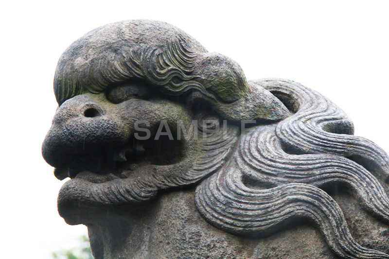 浅草,あさくさ,台東区,浅草神社,神社,参拝,お参り,浅草 名所,浅草 観光,狛犬,獅子,犬,石像,像,守る,苔,asakusa,japan,shrine