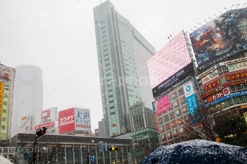 大雪の渋谷,渋谷,駅前,渋谷駅,雪,冬,降る,寒波,大雪,渋谷区,吹雪,ハチ公,スクランブル交差点,交差点,傘,東京,tokyo,shibuya,snow,winter