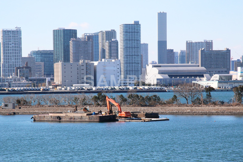 お台場,台場,海浜,海,海浜