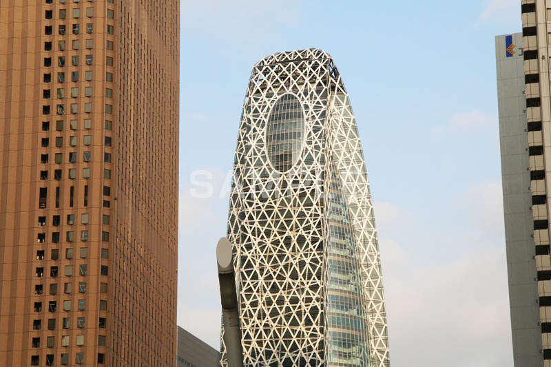 新宿ビル群,新宿,新宿区,ビル,都会,ビル群,高層ビル,ビジネス,shinjuku,building,office