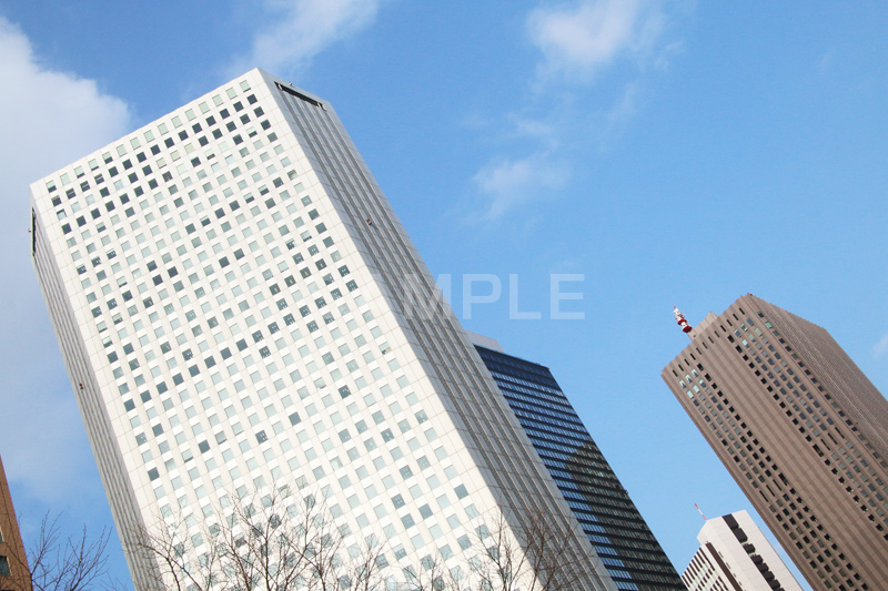 新宿ビル群,新宿,新宿区,ビル,都会,ビル群,高層ビル,ビジネス,shinjuku,building,office