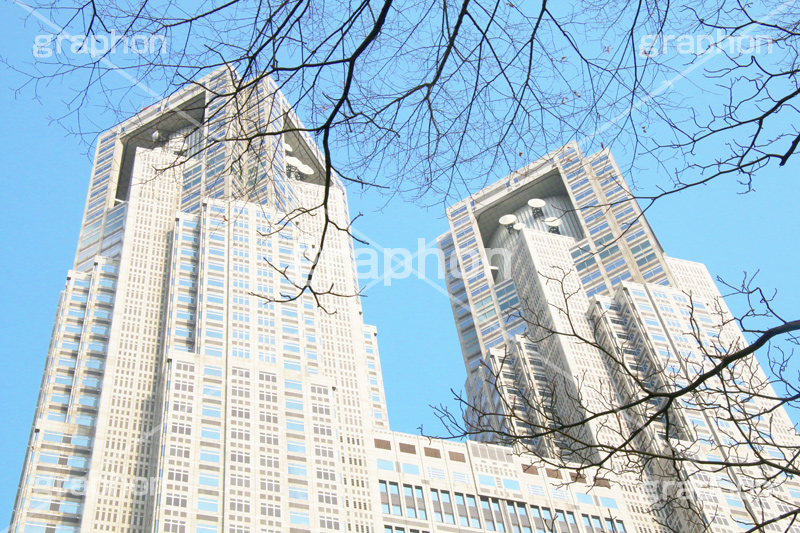 新宿中央公園,中央公園,東京都庁,都庁,とちょう,都知事,執行機関,行政,高層ビル,新宿,新宿区,第一本庁舎,庁舎,shinjuku