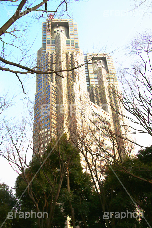 新宿中央公園,中央公園,東京都庁,都庁,とちょう,都知事,執行機関,行政,高層ビル,新宿,新宿区,第一本庁舎,庁舎,shinjuku