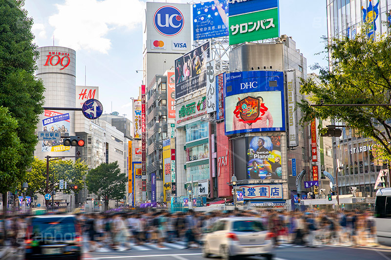 渋谷スクランブル交差点,渋谷,しぶや,ハチ公,観光,交差点,渋谷駅,駅前,スクランブル,外国人,海外,道玄坂,横断歩道,信号,雑踏,都会の雑踏,人混み,人物,混雑,shibuya,japan,フルサイズ撮影