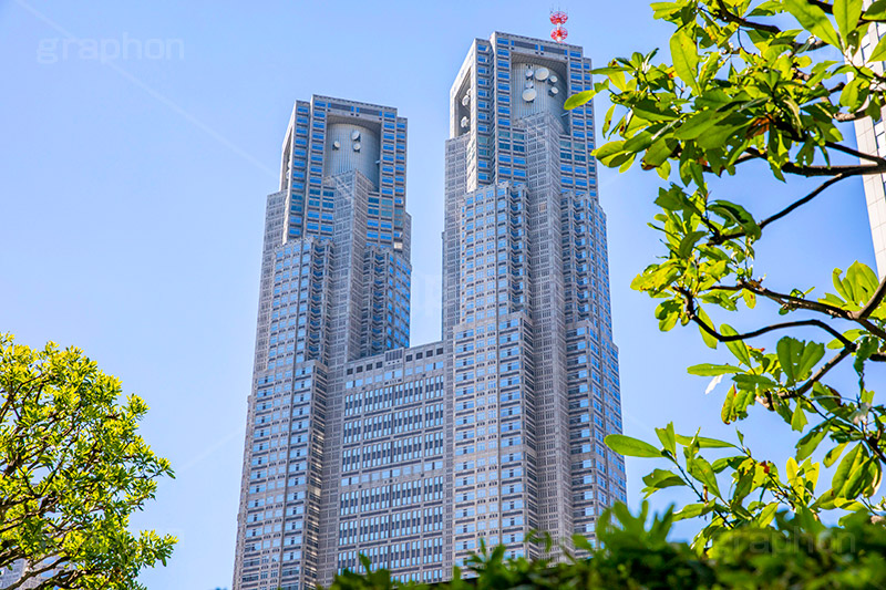 東京都庁,都庁,とちょう,都知事,執行機関,行政,高層ビル,新宿,新宿区,第一本庁舎,庁舎,shinjuku,japan,tokyo,フルサイズ撮影