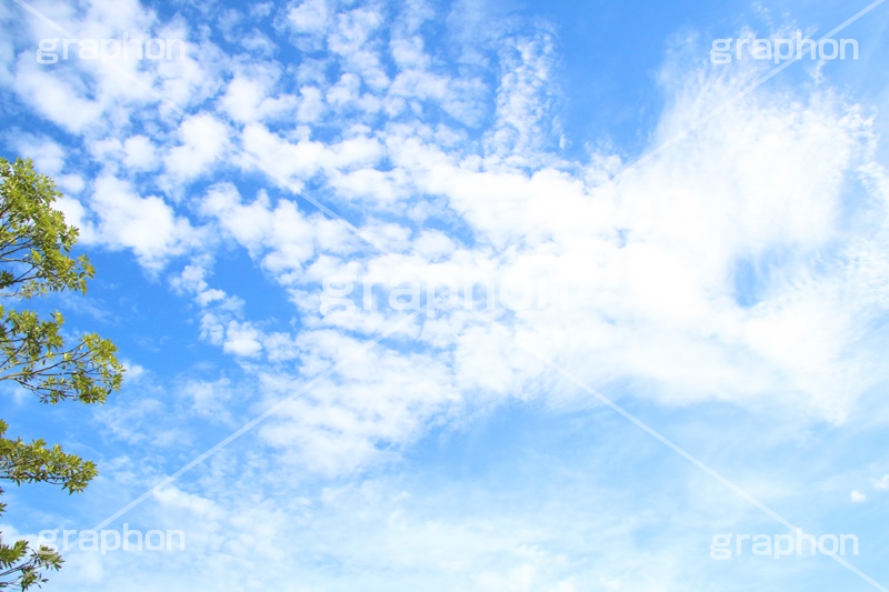 青空,空,晴,雲,お天気,空/天気,空/雲