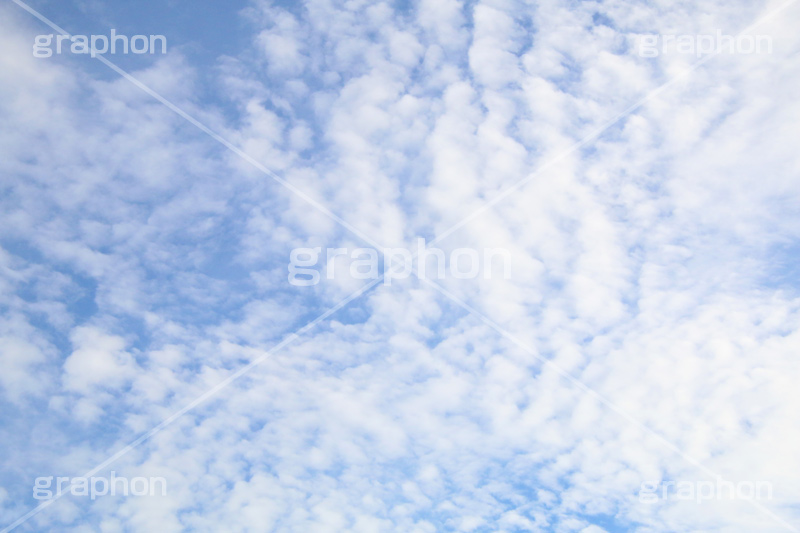 巻積雲,さば雲,サバ雲,巻積雲,空,青空,くも,そら,秋の空,いわし雲,とうろこ雲,波状雲,空/天気,空/雲