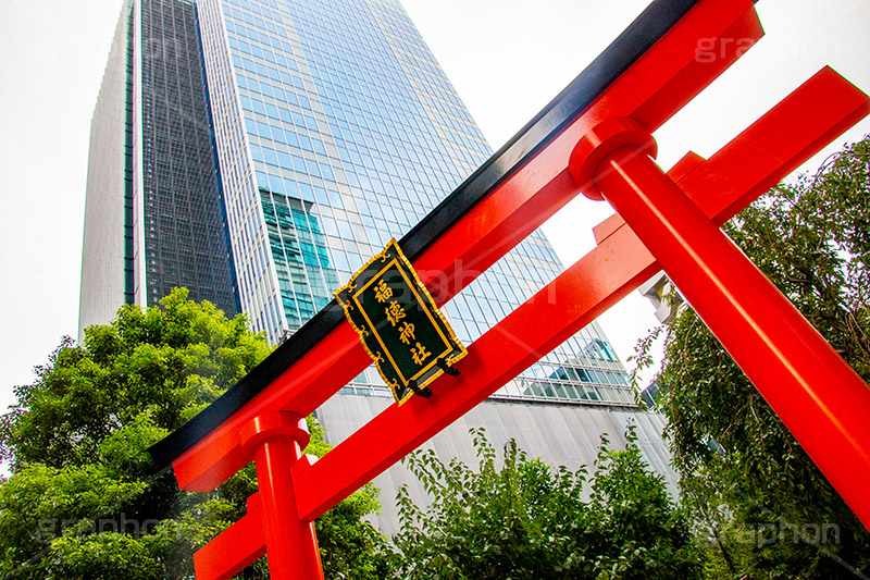 福徳神社の鳥居,福徳神社,鳥居,神社,参拝,お参り,稲荷,芽吹神社,お稲荷さん,日本橋,中央区,tokyo,東京,japan