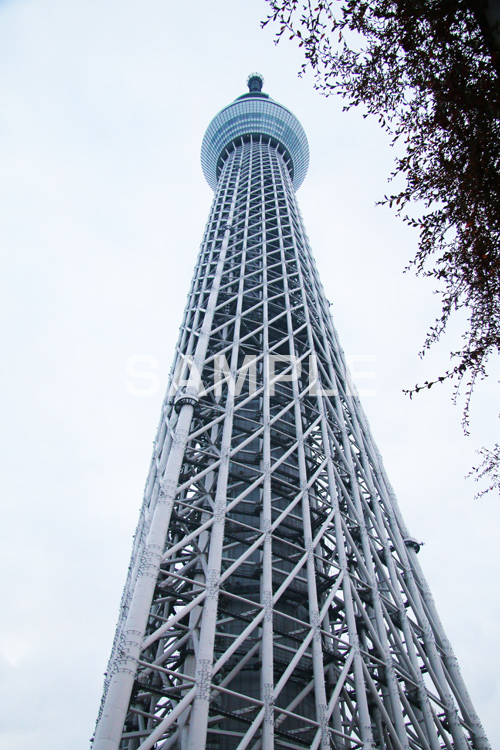 スカイツリー,東京スカイツリー,TOKYO SKYTREE,墨田区,押上,電波塔,634,634メートル,638m,塔,真下,見上げ,tower,japan,タワー