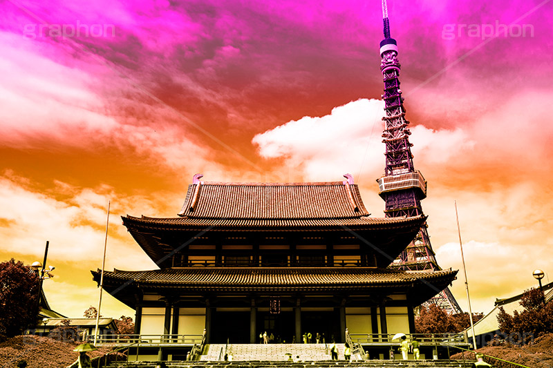 増上寺,Gradation Jjapan,gradation,japan,日本,グラデーション,カラフル,お洒落,おしゃれ,オシャレ,味わい,雰囲気,フルサイズ撮影,東京,tokyo,デュオトーン,duotone