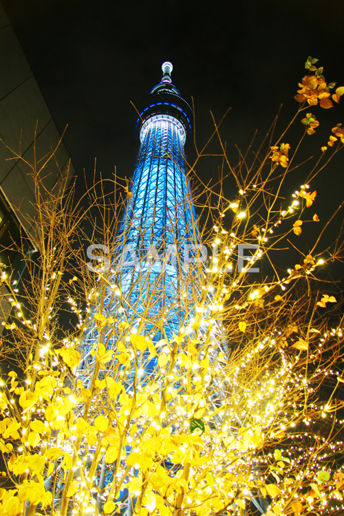 スカイツリー,東京スカイツリー,TOKYO SKYTREE,墨田区,押上,電波塔,634,634メートル,634m,塔,夜,ライトアップ,粋,ブルー,青,不思議,おもしろ写真,面白写真,2本,２本,映イルミネーション,イルミ,真下,見上げ,tower,japan,タワー