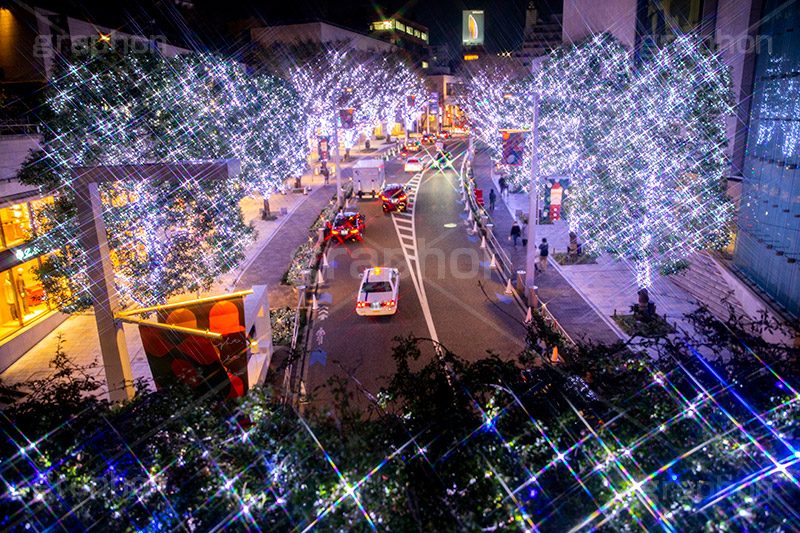 けやき坂イルミネーション,けやきざか,けやき坂,イルミネーション,イルミ,六本木,ヒルズ,Roppongi Hills,夜景,ライトアップ,キラキラ,夜,LED,冬,ロマンチック,japan,クロスフィルタ,港区,観光名所,坂,並木,フルサイズ撮影