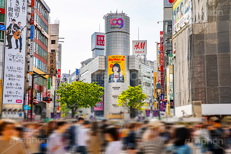 渋谷スクランブル交差点,渋谷,しぶや,ハチ公,観光,交差点,渋谷駅,駅前,スクランブル,外国人,海外,道玄坂,横断歩道,信号,雑踏,都会の雑踏,人混み,人物,混雑,shibuya,japan,109,フルサイズ撮影