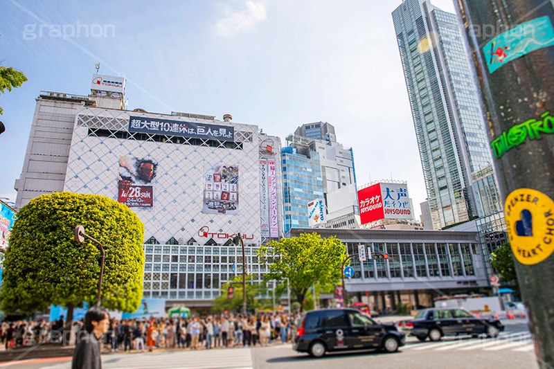 渋谷スクランブル交差点,渋谷,しぶや,ハチ公,観光,交差点,渋谷駅,駅前,駅,スクランブル,セルリアンタワー,外国人,海外,東急,横断歩道,信号,雑踏,都会の雑踏,人混み,混雑,shibuya,japan,109,フルサイズ撮影