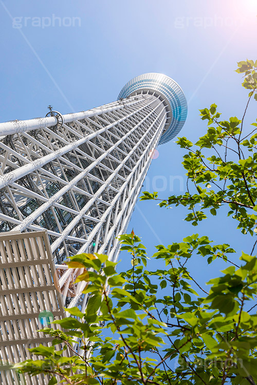 東京スカイツリー,真下からのスカイツリー,スカイツリー,墨田区,押上,電波塔,634,634メートル,634m,塔,電線,真下,見上げ,タワー,青空,tower,TOKYO SKYTREE,flare,逆光,フルサイズ撮影