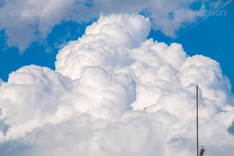 入道雲,雨雲,ゲリラ豪雨,豪雨,空,雲,積乱雲,青空,お天気,空/天気,空/雲,夏,サマー,自然,summer,sky,natural