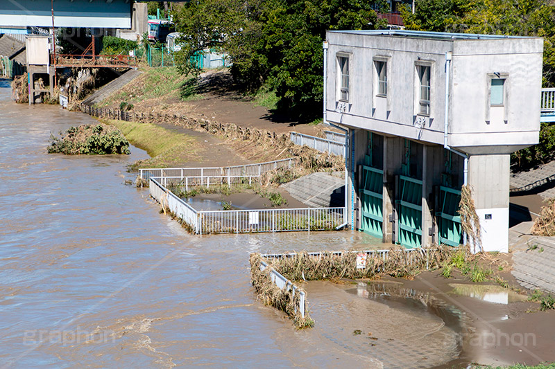 台風の傷跡,調布取水堰,取水堰,水門,洪水,浸水,濁流,水位,危険,被災,氾濫,決壊,堤防,水害,ハザードマップ,台風,大雨,嵐,豪雨,天災,災害,避難,非常,傷,被害,事件,事故,多摩川,川,川原,河川敷,一級河川,玉川,河川,神奈川,typhoon,disaster,japan,2019