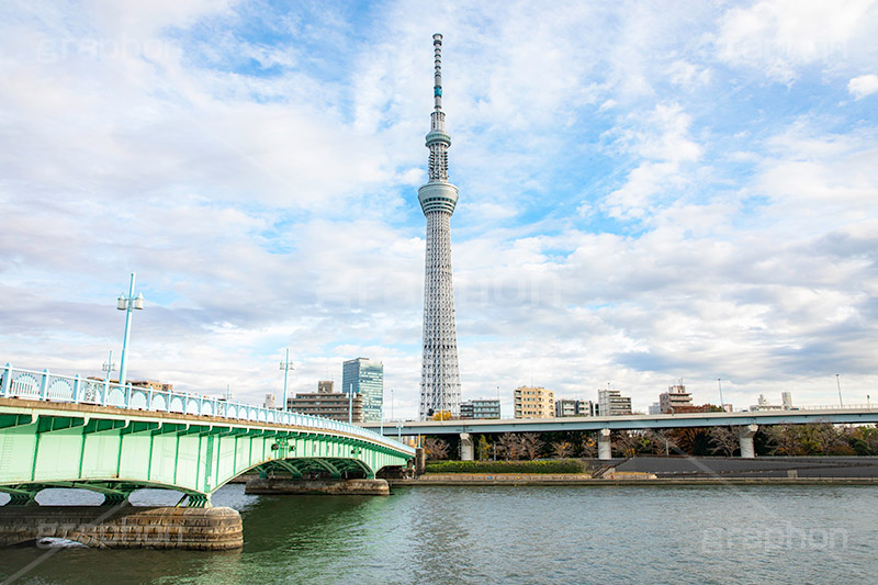 スカイツリー,東京スカイツリー,塔,隅田公園,隅田川,すみだ川,台東区,川,浅草,タワー,言問橋,橋,japan,skytree,asakusa,tower,フルサイズ撮影