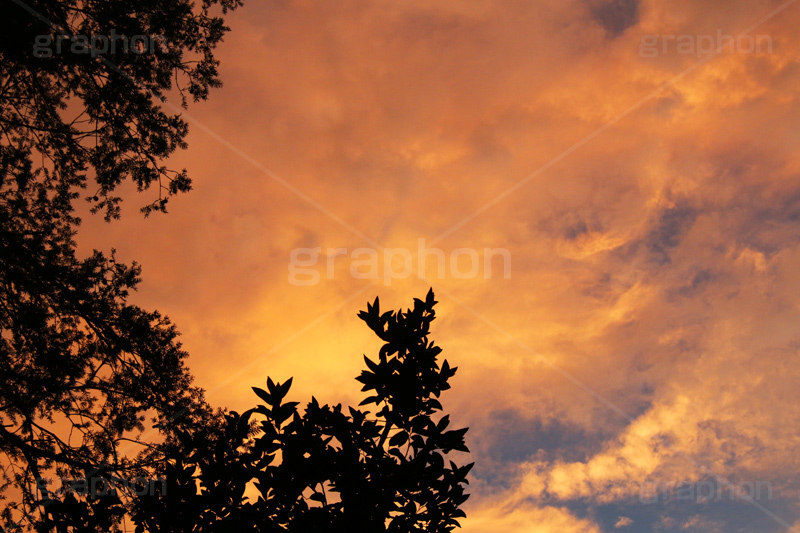 夕焼け,夕日,夕方,夕,日の入り,オレンジ,赤,染,雲,空,日没,現象,きれい,キレイ,綺麗,沈,空/天気,sunset