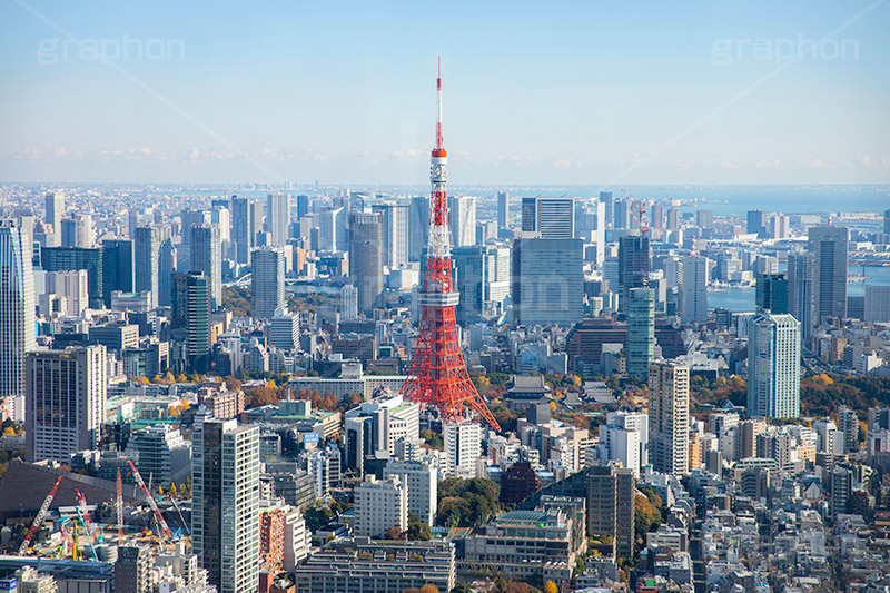 東京の街並み,東京,東京タワー,タワー,総合電波塔,電波,塔,日本電波塔,とうきょうタワー,港区,東京のシンボル,観光名所,展望台,ビル,マンション,高層ビル,building,japan,Tokyo Tower,333m,フルサイズ撮影